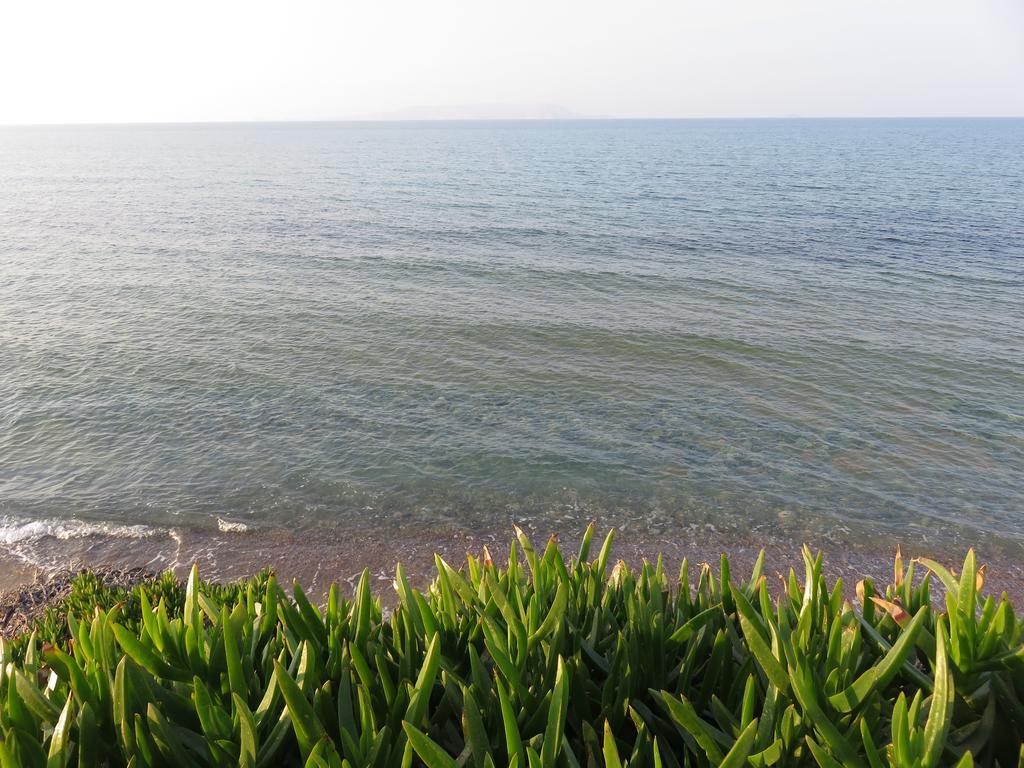 Frosso'S Sea Apartments Kokkini Hani Exterior foto